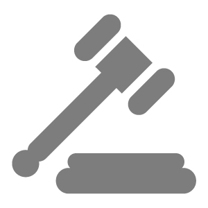 Gavel Icon